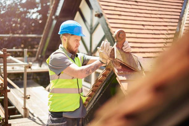 Best Roof Gutter Cleaning  in Riverdale, CA